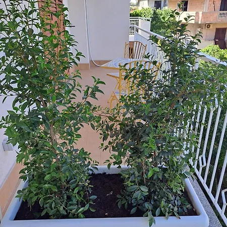 Bed & Breakfast Maraneri Bovalino Marina